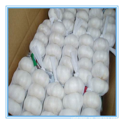 【供應2013年優(yōu)質(zhì)出口級純白大蒜,各種規(guī)格,有自己工廠】價格,廠家,圖片,蔥姜蒜類,金鄉(xiāng)縣遠大偉業(yè)進出口貿(mào)易-