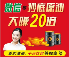 企業(yè)介紹